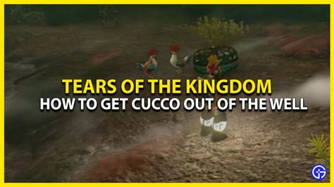 totk cucco in well|CHALLENGE: Get Cucco Out Of Well : r/tearsofthekingdom .